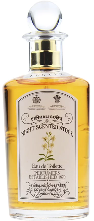 Night Scented Stock